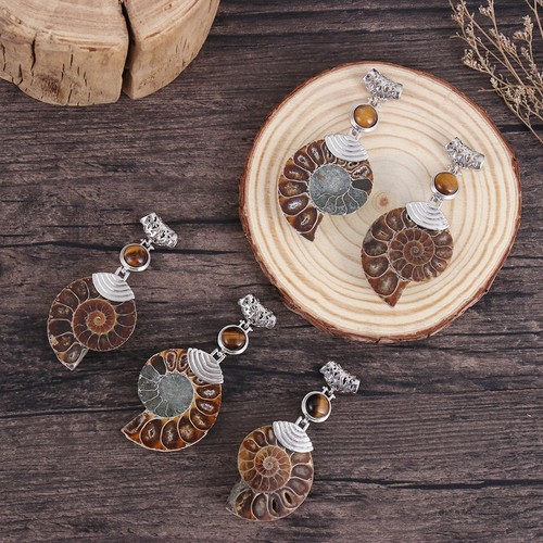 Chakra reiki ammonite - chakra,